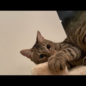 Meet your Posher, Georgia